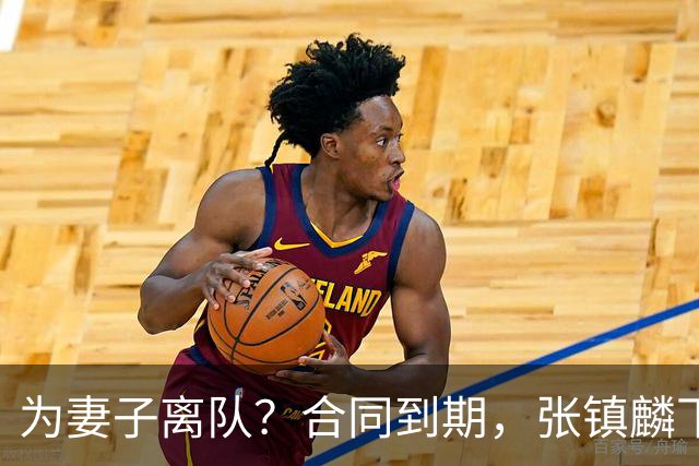 为妻子离队？合同到期，张镇麟下家4选1，广东2队有机会