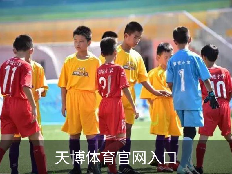 天博体育官网入口概况